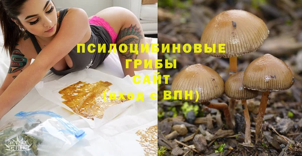 а пвп мука Алексин